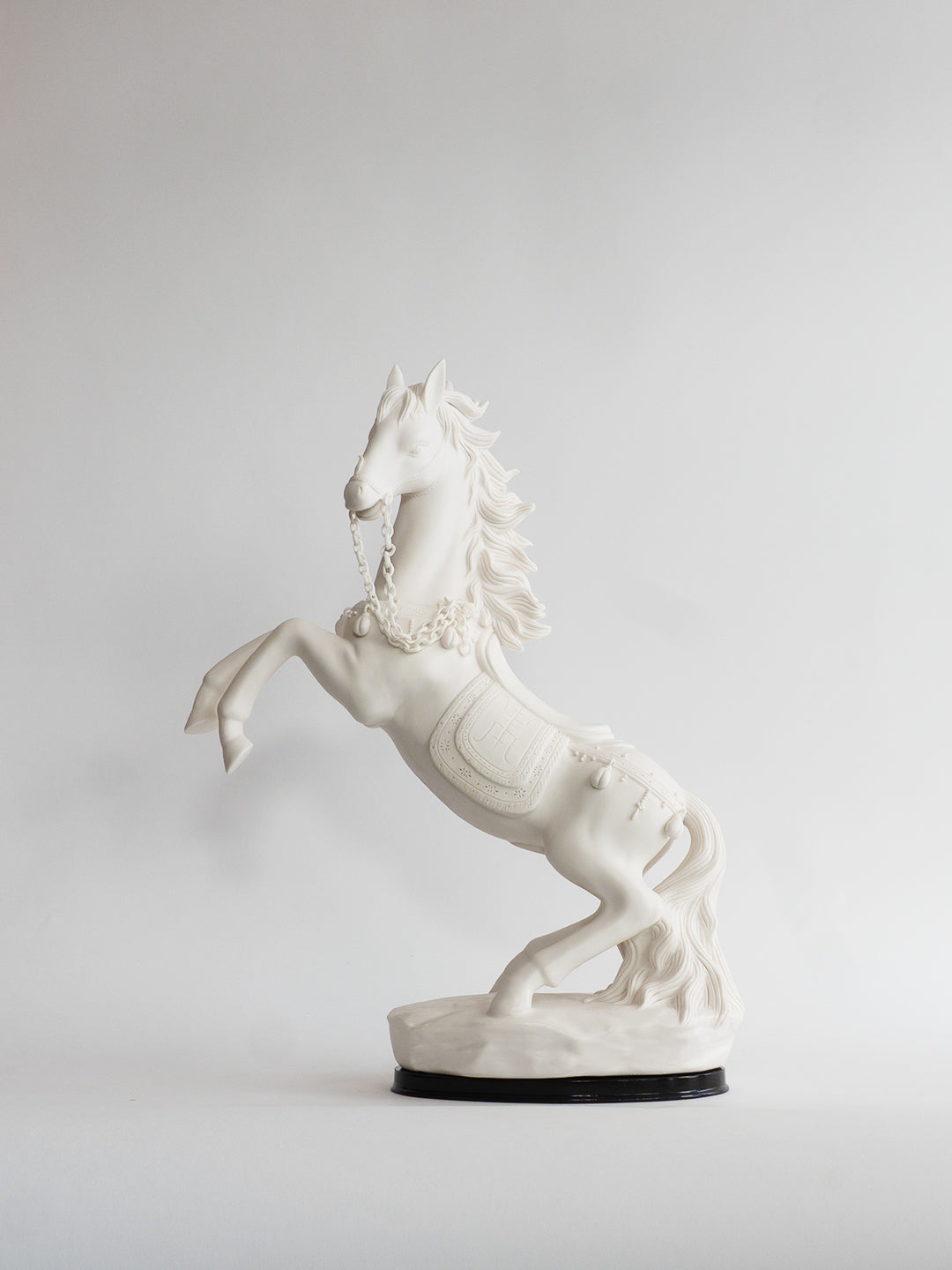 White Stallion